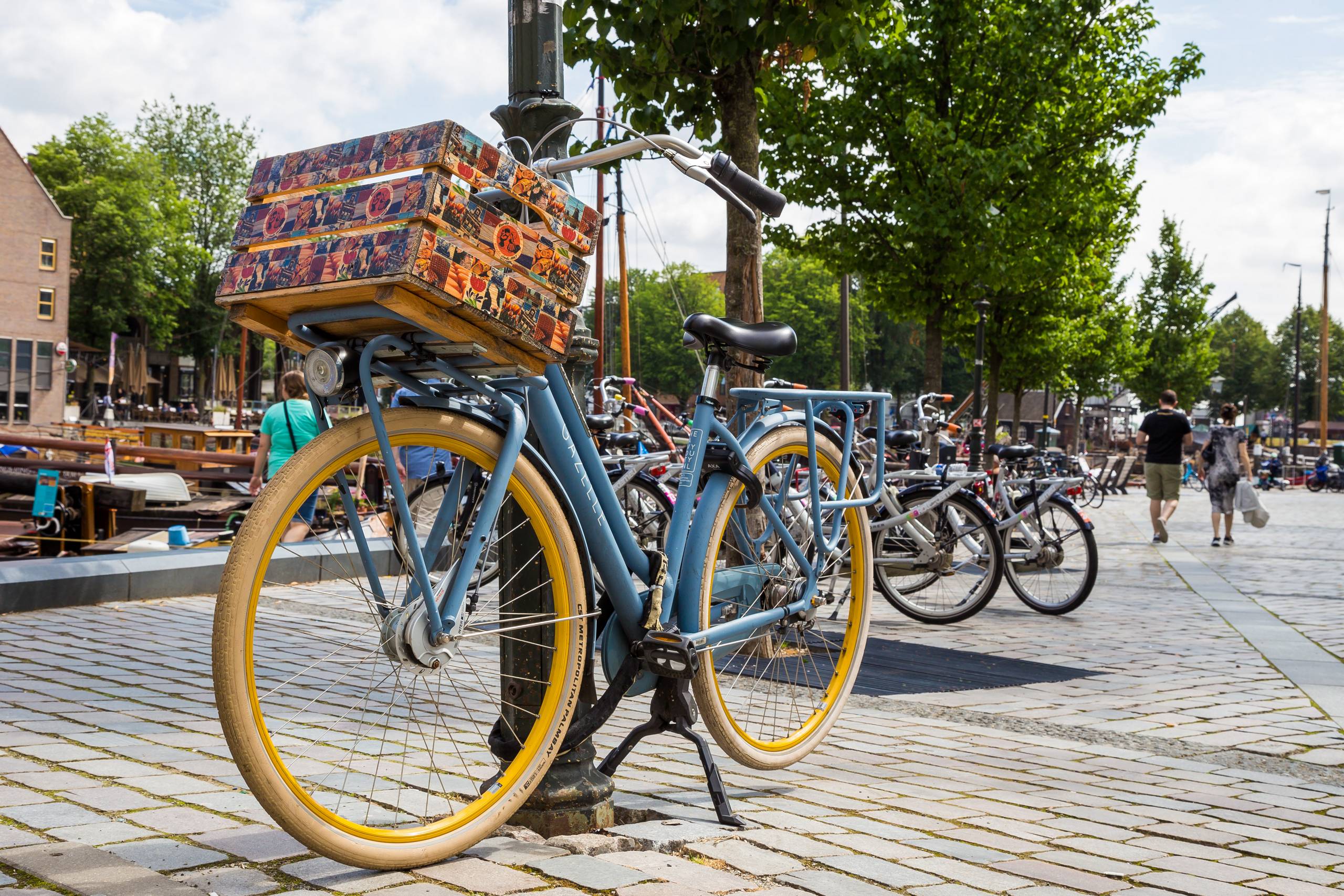 2019 Niederlande 118